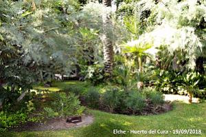 19 ELCHE HUERTO DEL CURA (51)